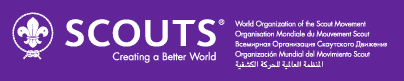 World Scouting